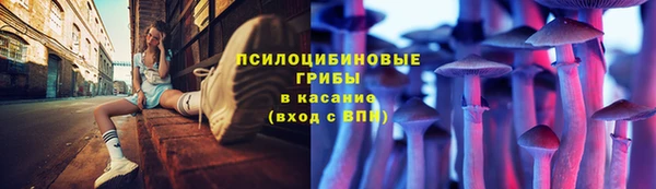 марки nbome Дмитриев