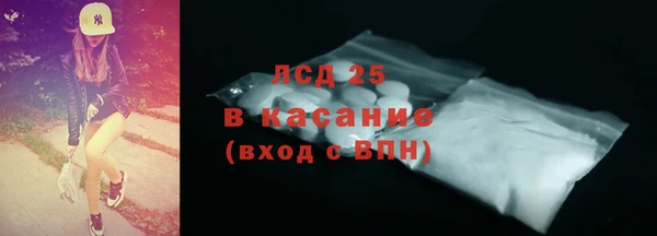 стаф Каменногорск