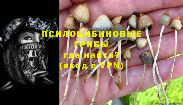 мет Касимов