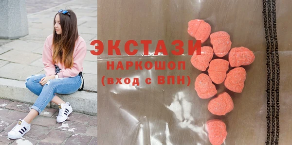 стаф Каменногорск