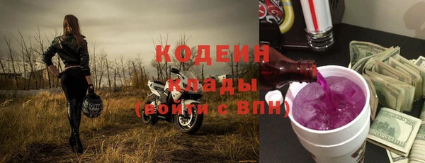стаф Каменногорск