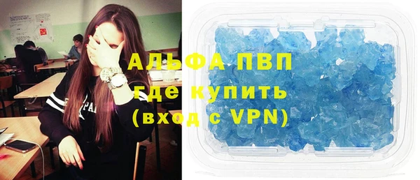 СК Дмитров