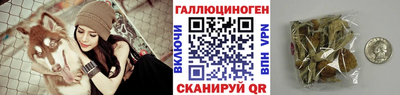 что такое наркотик  Завитинск  Галлюциногенные грибы Psilocybine cubensis 